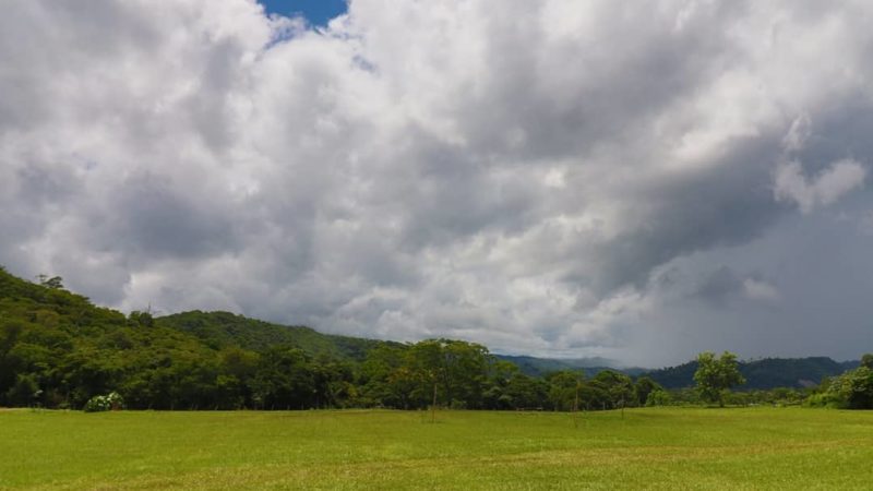 Desenvolvimento sustentável vai fazer de Mato Grosso do Sul 1º Estado Carbono Neutro do Brasil