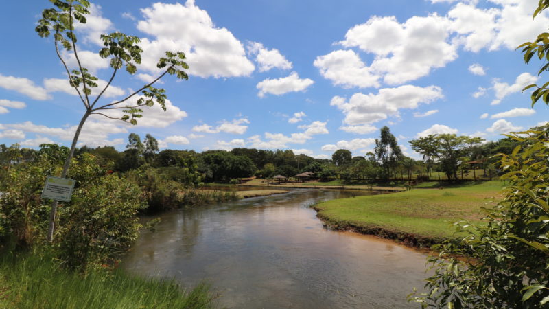 Ribas do Rio Pardo