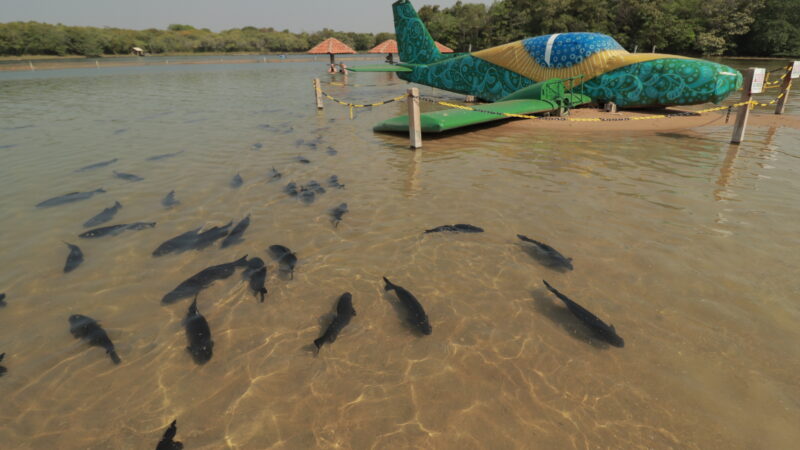 Praia da Figueira – Bonito